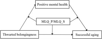 Thwarted Belongingness Hindered Successful Aging in Chinese Older Adults: Roles of Positive Mental Health and Meaning in Life